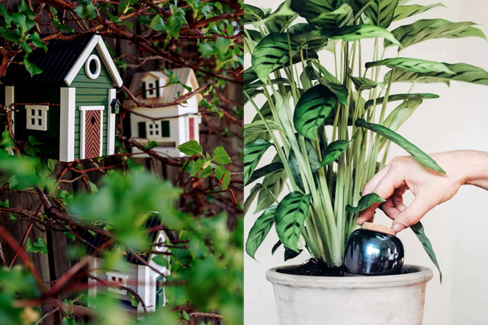 Jolis objets utiles et déco pour le jardin et la maison: nichoirs mangeoires à oiseaux et ollas d'arrosage pour les plantes