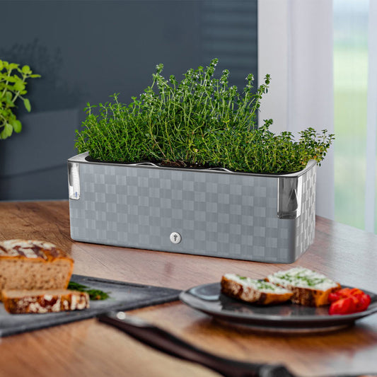 jardinière d'intérieur autonome cobble trio pouvant contenir 3 aromates