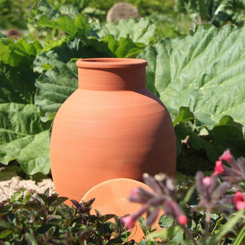 olla poterie artisanale d'irrigation pour le jardin et le potager