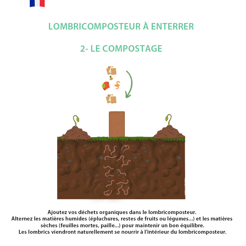 ajoutez vos déchets de cuisine compostables (épluchures, sachets de thé, marc de café...) dans votre lombricomposteur enterré