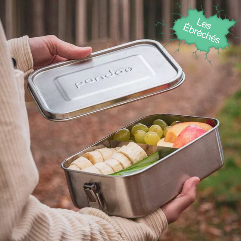 boite à repas en inox pas cher