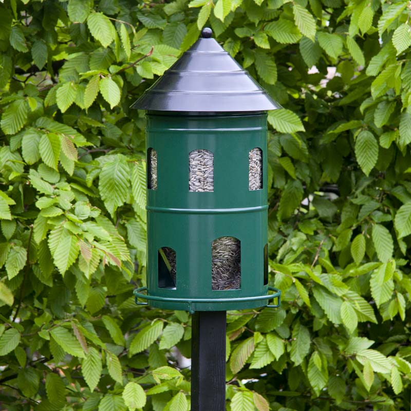 mangeoire à oiseaux verte wildlife garden à fixer sur un poteau pour nourrir les oiseaux l'hiver et décorer le jardin