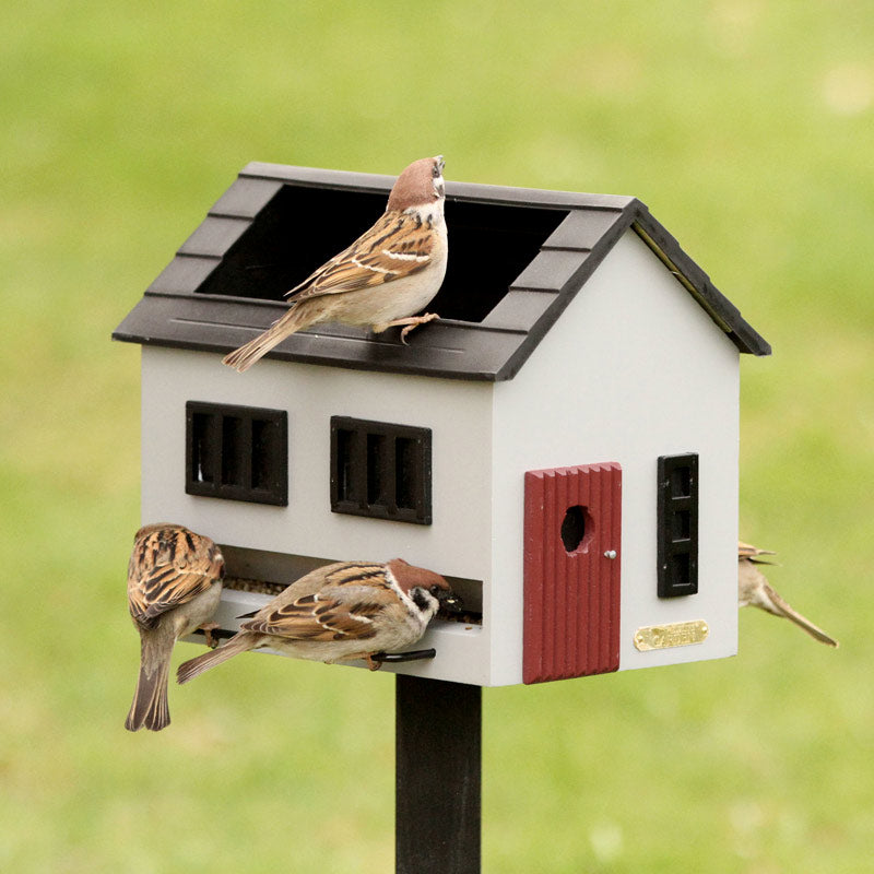 mangeoire à oiseaux pouvant contenir 2,5 litres de graines et disposant d'un bassin pour les oiseaux intégré dans le toit. Les oiseaux viennent dans le jardin car ils sont attirés par la mangeoire qui leur procure des graines et de l'eau pour manger, boire et se raffraichir