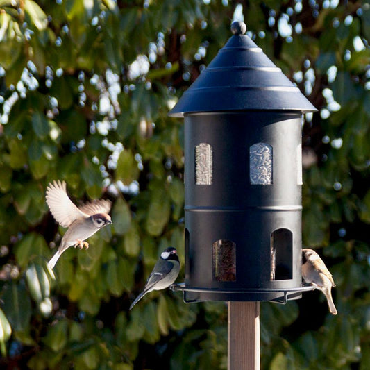 mangeoire à graines capable de nourrir plusieurs oiseaux en simultanée wildlife garden tour noire WG326