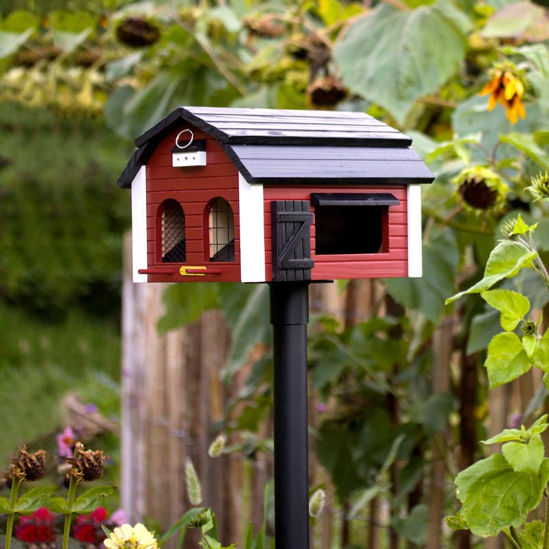 magnifique mangeoire à oiseaux wildlife garden installée sur un poteau en métal dans le jardin