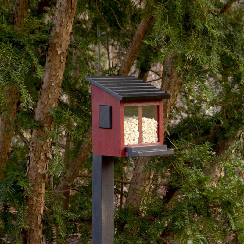 Mangeoire pour écureuils sous les arbres, remplie de nourriture et fixée à un poteau wildlife garden