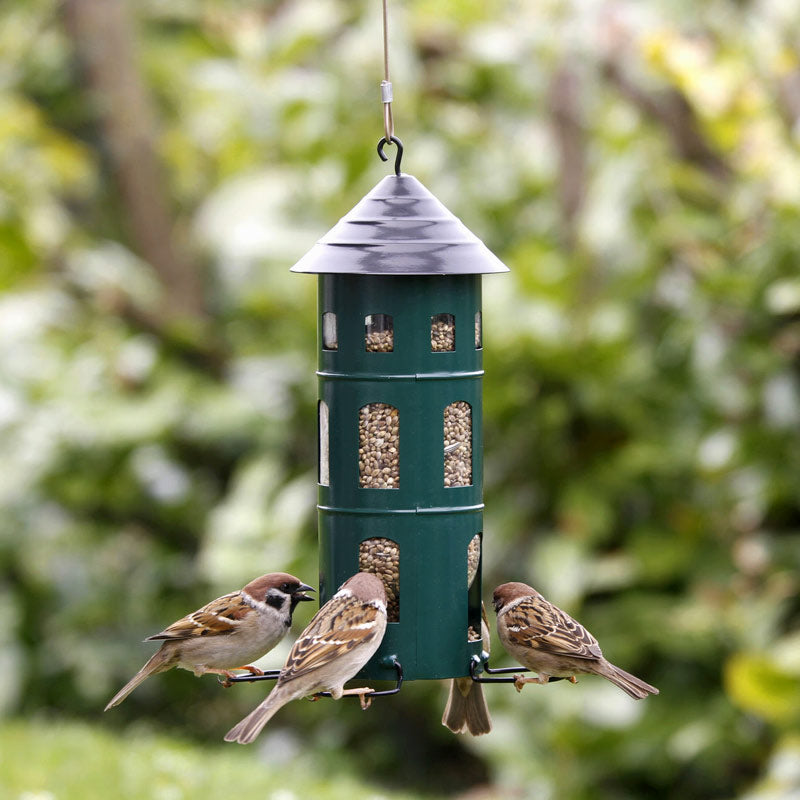 la mangeoire à graines verte en métal wildlife garden attirent de nombreuses espèces d'oiseaux dans votre jardin