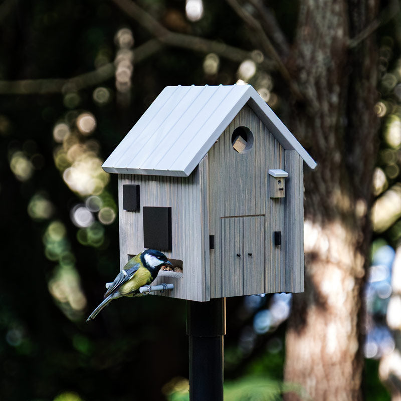 Nichoir mangeoire scandinave Wildlife Garden pour nourrir les oiseaux en hiver et les abriter au printemps