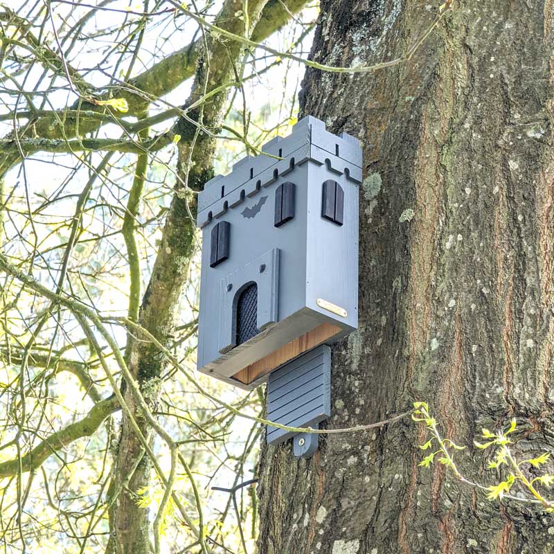 nichoir à chauve-souris fixé à un tronc d'arbre