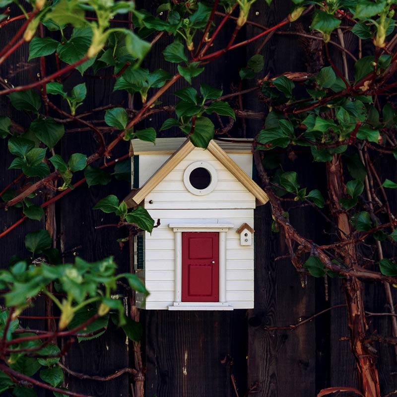 Cabane à oiseaux New England de Wildlife Garden : maison miniature au design inspiré de l'architecture américaine de Cap Code et de la Nouvelle Angleterre