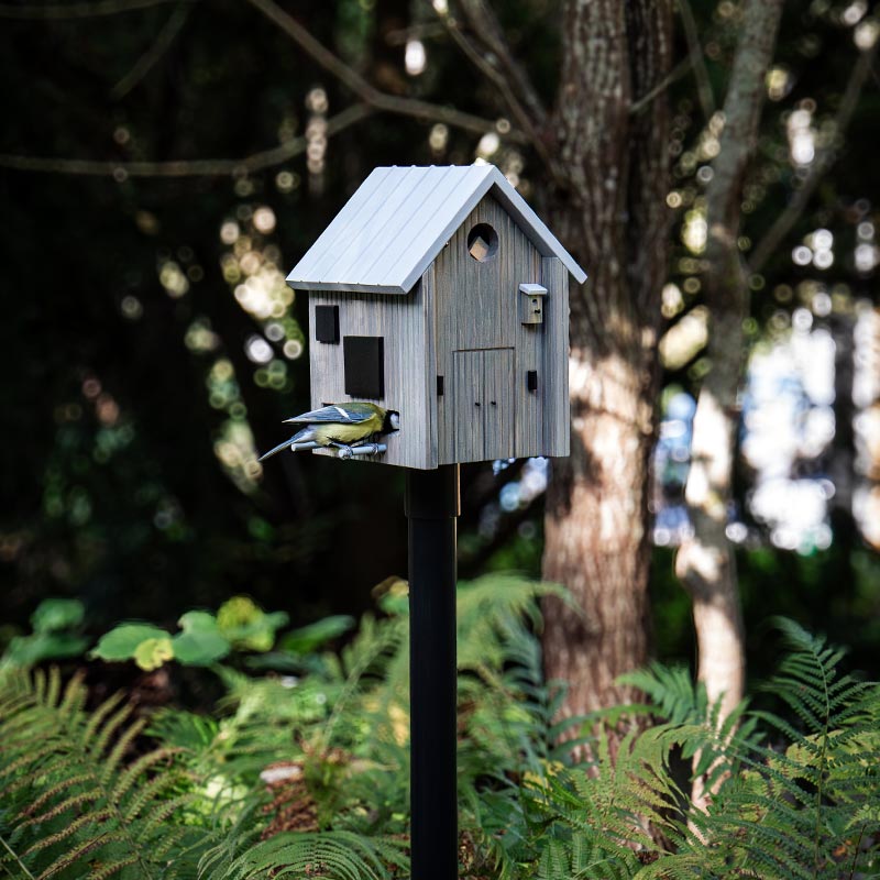 nichoir mangeoire spécialement adapté pour les petits oiseaux de nos jardins (mésanges, rouges-gorges, moineaux...)