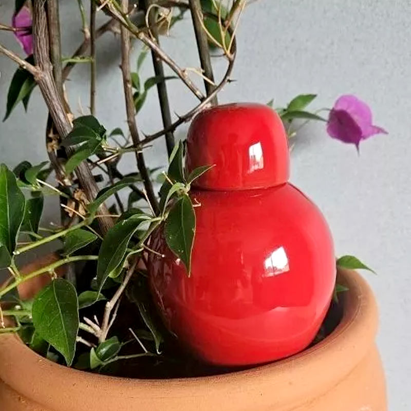 olla oya d'arrosage rouge à planter dans le pot de votre plante