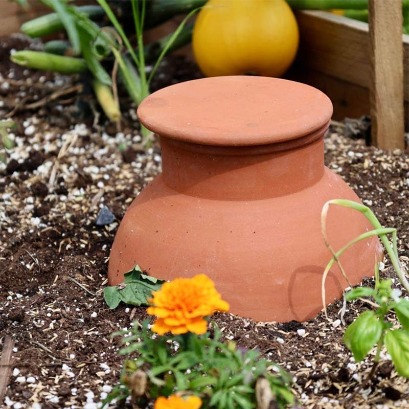 une olla est un réservoir d'eau enterré pour un arrosage lent et naturel des cultures du potager