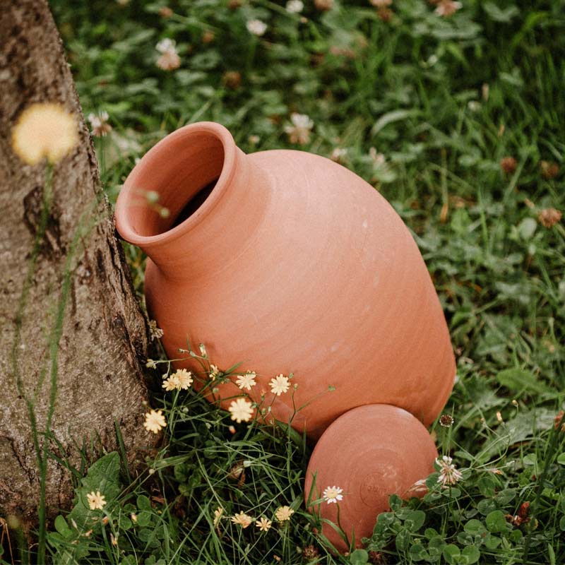 jarre de 5 litres pour un arrosage efficace et autonome du jardin 