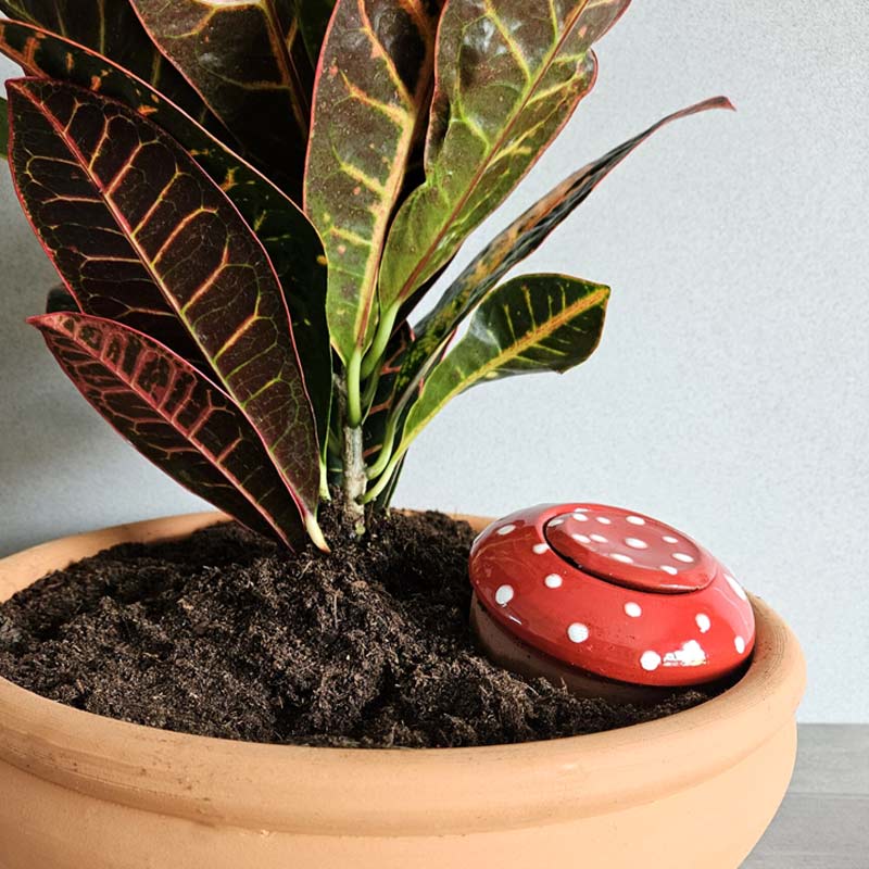 ollas décoratives en forme de champignon rouge avec des pois blancs