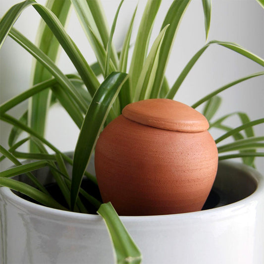 Oya Pepin Olla En Terre Cuite à Planter 40cl - Système D'Arrosage Autonome Pour Plantes - Autonomie 3-4 Jours - Fabrication Française Oya Pepin Olla En Terre Cuite à Planter 40cl - Système D'Arrosage Autonome Pour Plantes - Autonomie 3-4 Jours - Fabrication Française