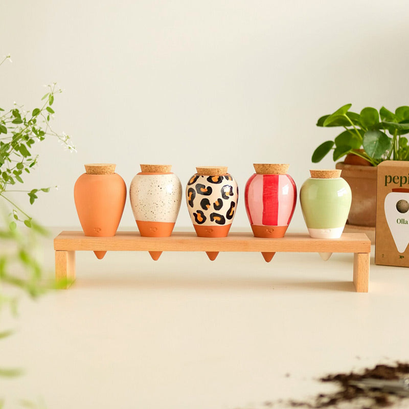 les nouveautés colorées de chez ollas pepin sont arrivées chez Maison Fertile