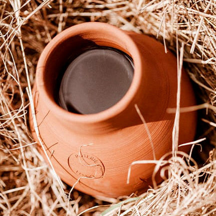 oya rempli d'eau pour l'arrosage autonome des plantations dans le jardin