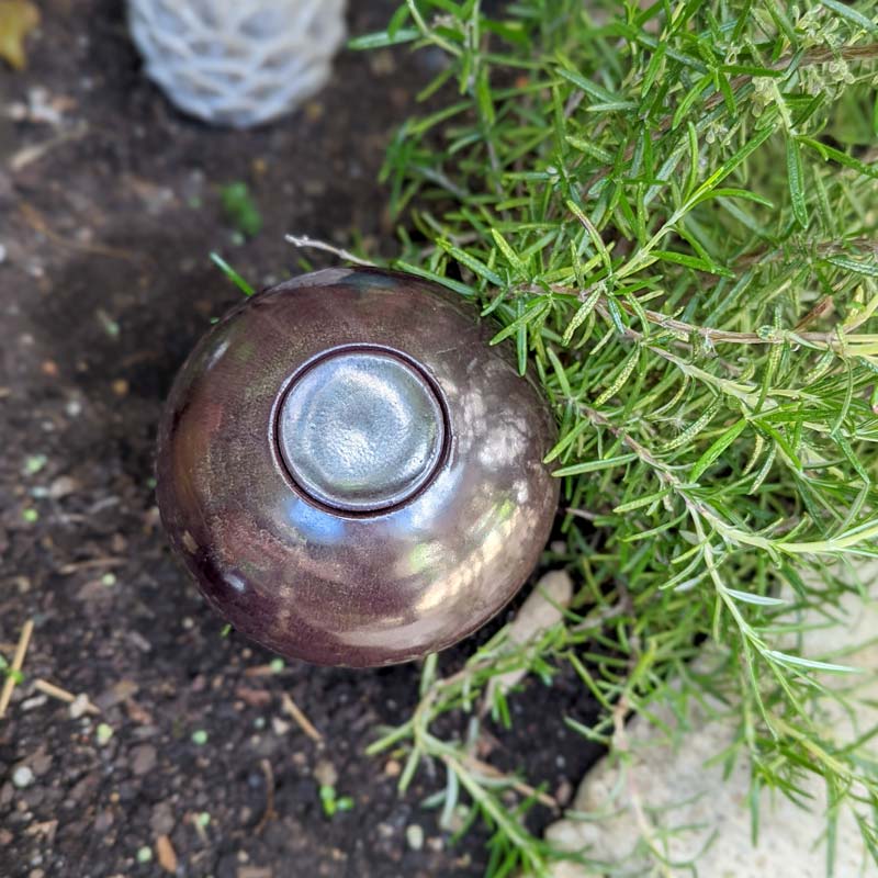 olla d'arrosage au pied d'un romarin pour un arrosage efficace et maîtrisé des plantes