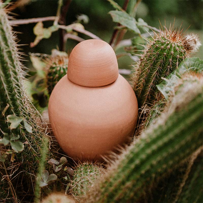 oya ou olla en terre cuite artisanale plantée dans un pot de cactus