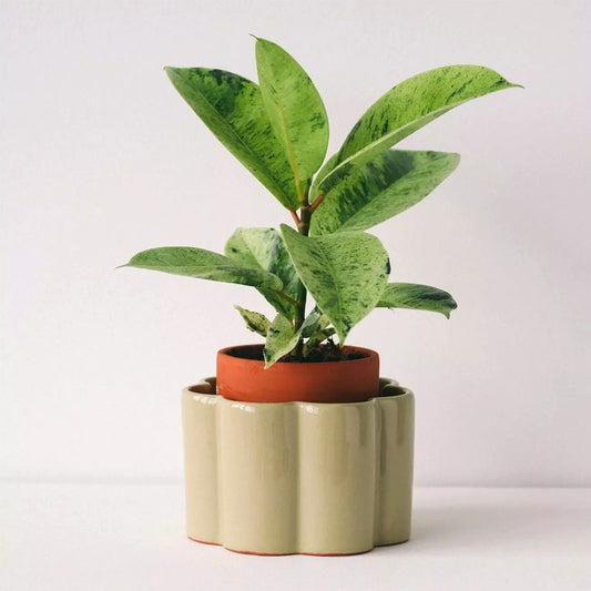 pot auto-arrosant Paula vert sauge de la marque pépin pour un arrosage autonome de vos plantes d'intérieur