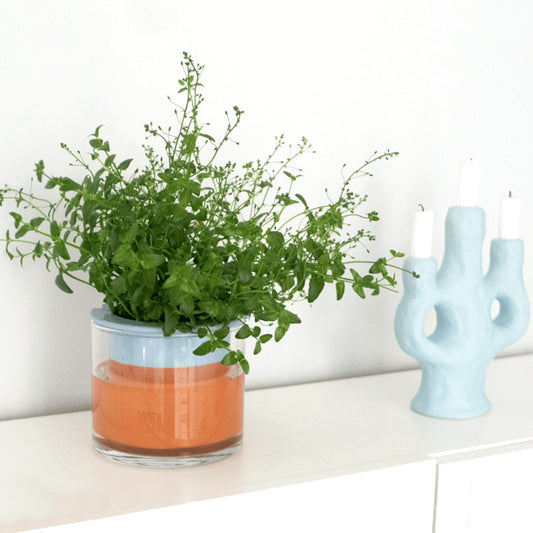 pot à réserve d'eau wet pot bleu : un joli pot design et coloré qui arrose tout seul les plantes