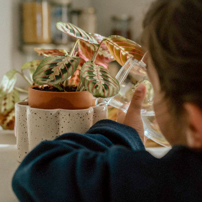 l'entretien des plantes devient un jeu d'enfant avec ce pot auto-arrosant qui facilite l'arrosage des plantes