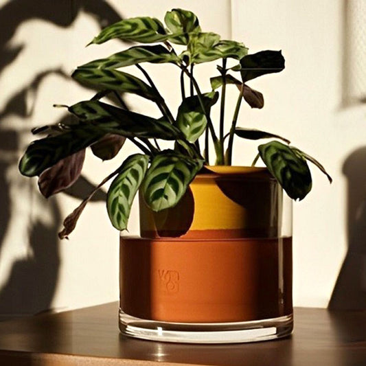 pot en céramique artisanal wet pot jaune avec sa réserve d'eau en verre