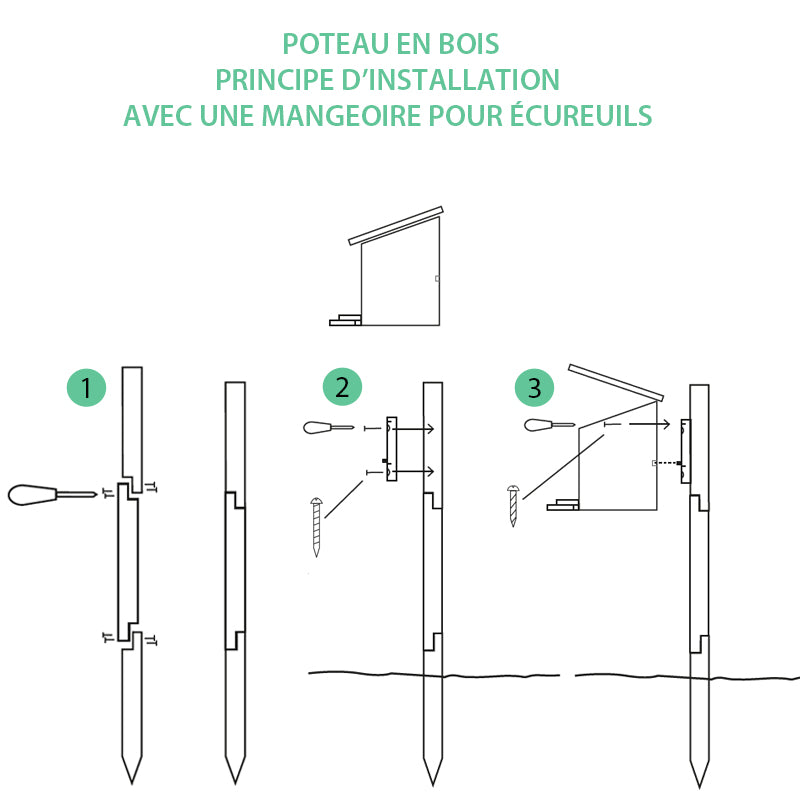 principe d'installation d'une mangeoire pour écureuils sur un poteau en bois 