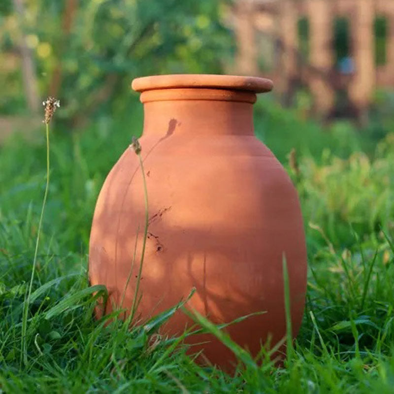 Réserve d'eau à enterrer de type olla pour maintenir l'humidité du sol autour des plantes