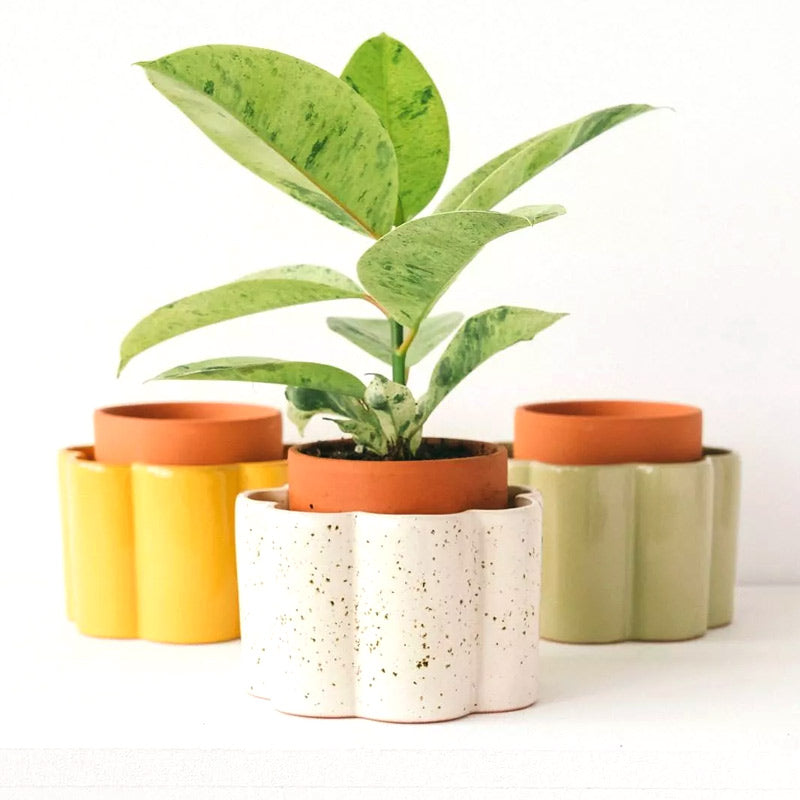 nouveaux pots auto arrosant pepin, modèle Paula, disponible en différents coloris : vert sauge, jaune moutarde