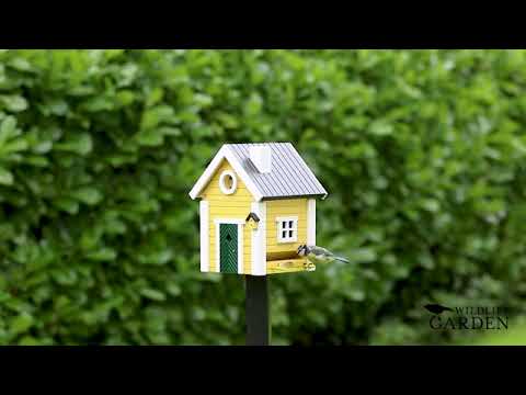 les petits oiseaux du jardin sont nombreux à venir manger les graines dans la Mangeoire Multiholk jaune Wildlife Garden