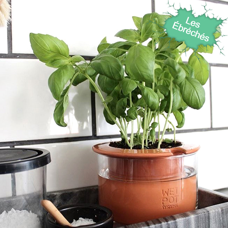 Pot à réserve d'eau Wet Pot taille S - Article neuf avec léger défaut à -15%
