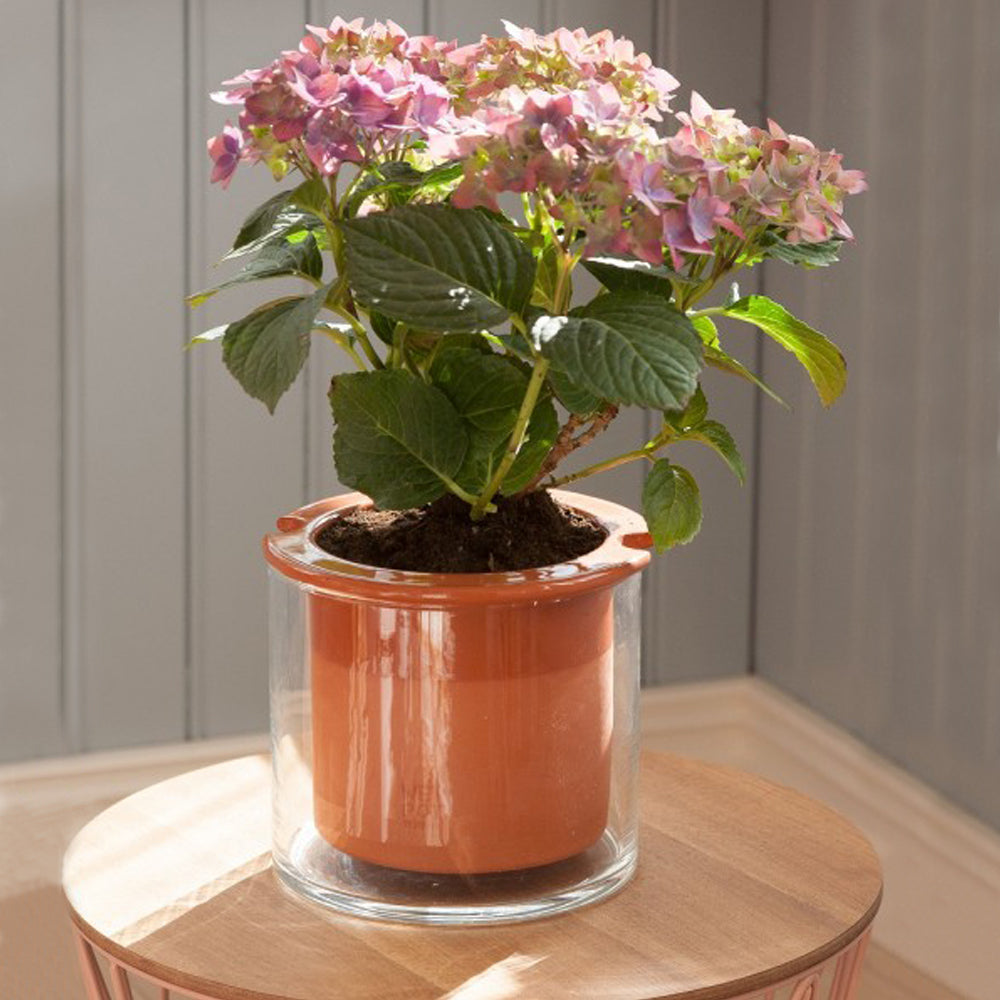 pot naturel et déco pour mon intérieur wet pot taille L 