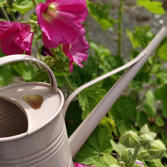 arrosoir rétro Plint de 1,5 litres en métal pour un arrosage précis des plantes dans la maison, sur la terrasse ou le balcon