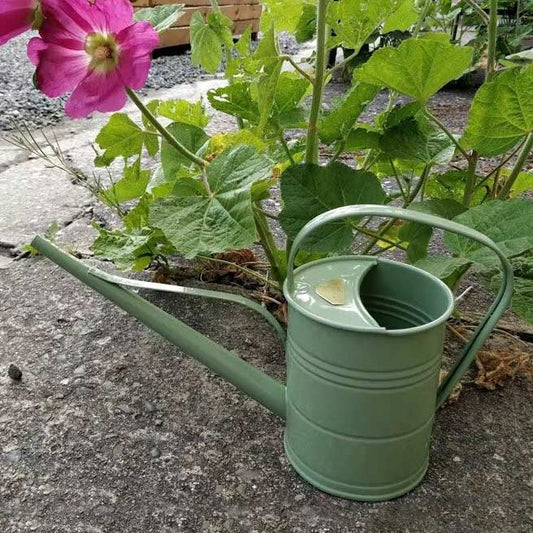 arrosoir plint rétro vert amande pour arroser les plantes à l'intérieur ou à l'extérieur avec style