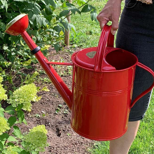 arroisoir en métal de qualité avec logo Plint doré et pomme d'arrosage doré, un arroisoir aussi pratique que déco pour le jardin ou la terrasse