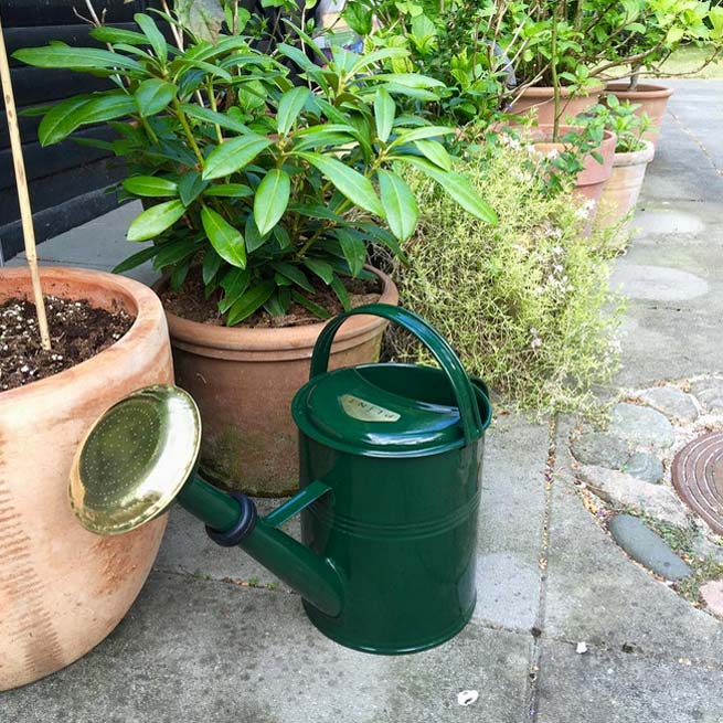Arrosoir rétro 5 litres Plint vert avec pomme d'arrosage