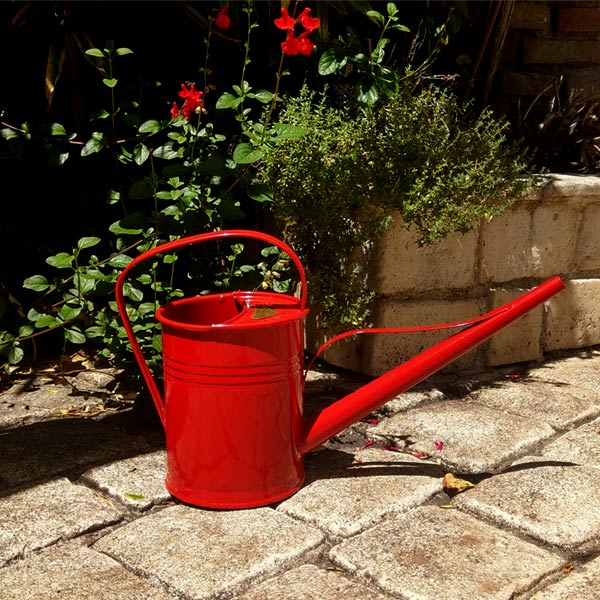 arrosoir PLINT rouge 1,5 litres pour arroser les plantes avec style dans la maison, sur la terrasse ou le balcon