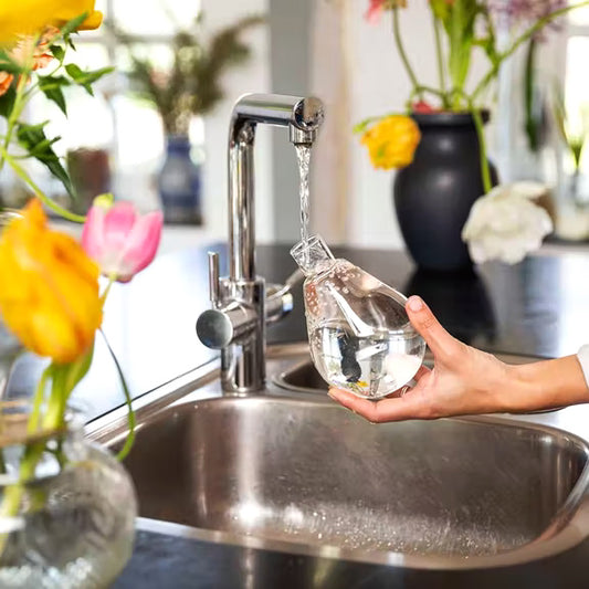 bulle d'arrosage décorative à planter aux pieds d'une plante HOUSE OF THOL