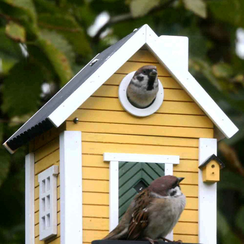 Cabane à oiseaux maison jaune Wildlife Garden, nichoir au printemps, mangeoire en hiver