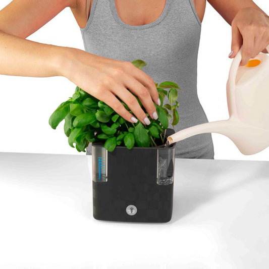 Pot de fleurs à arrosage automatique en plastique avec indicateur d'eau,  lot de 4 jardinières en plastique avec réservoir d'eau à arrosage  automatique Petit pot de fleurs pour plantes d'intérieur (A)
