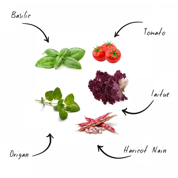 faites pousser vos propres légumes et herbes aromatiques avec ce kit mini potager bio Cultivea Italian Menu