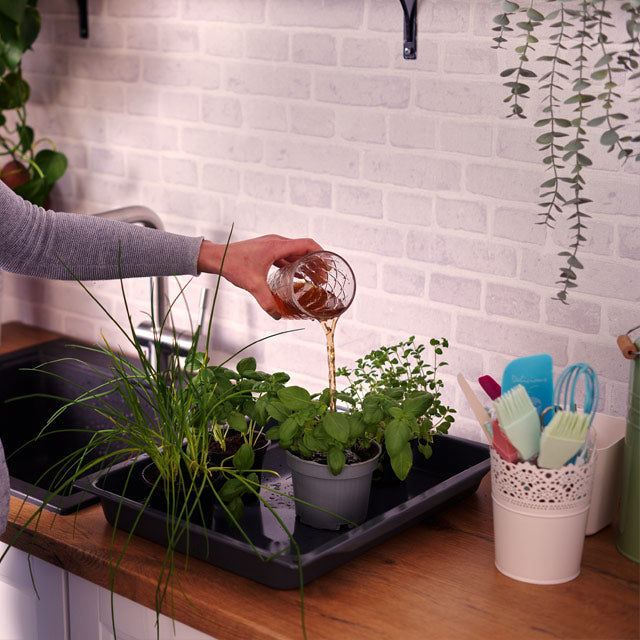 Le composteur Skaza Organko Essential transforme vos biodéchets en nutriments pour vos plantes selon la méthode traditionnelle du bokashi
