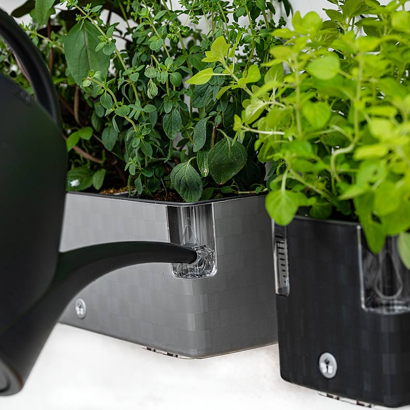 Jardinière à aromates auto-irrigante Cobble trio bleu acier - Compatib Jardinière à aromates auto-irrigante Cobble trio bleu acier - Compatib