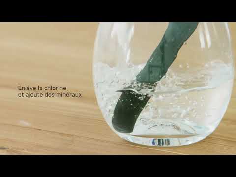 Vidéo de présentation du charbon actif Black+Blum, filtre naturel qui sert à filtrer l'eau du robinet d'une gourde ou d'une carafe