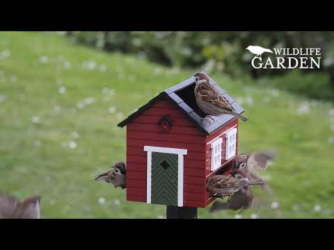 la mangeoire avec bain maison rouge de Wildlife Garden attire de nombreux oiseaux. Elle combien 2 fonctions : mangeoires et bassin pour le plus grand plaisir des oiseaux. En plus, c'est un bel objet déco pour le jardin