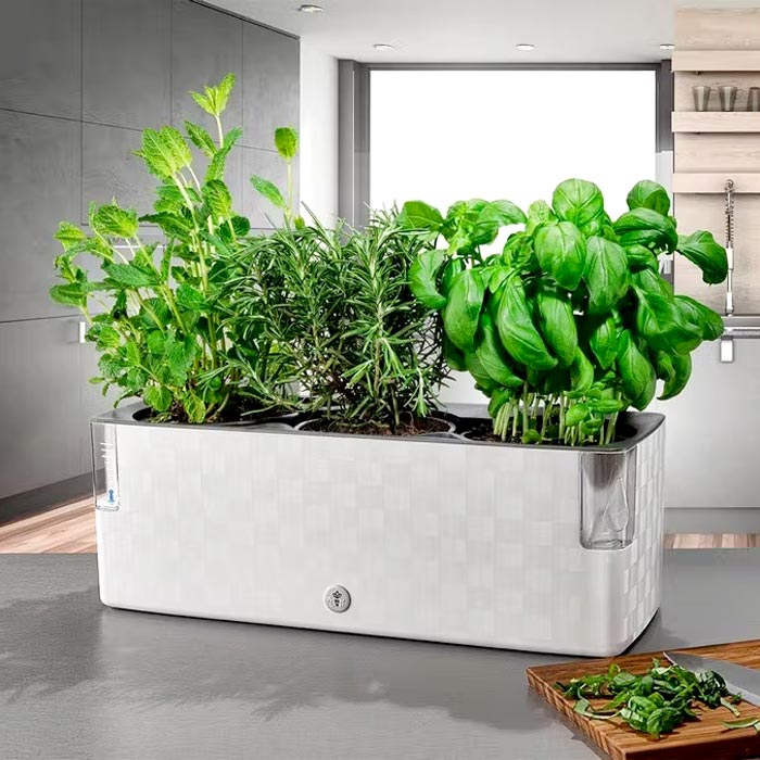 Jardinière auto-irrigante Cobble Trio pour les herbes aromatiques - blanc cristal