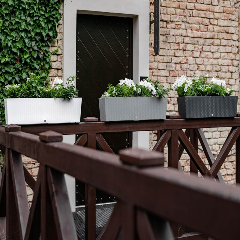 le pot de fleur auto-arrosant supreme est non seulement très pratique mais aussi très joli dans la maison, le jardin, sur le balcon ou sur un rebord de fenêtre