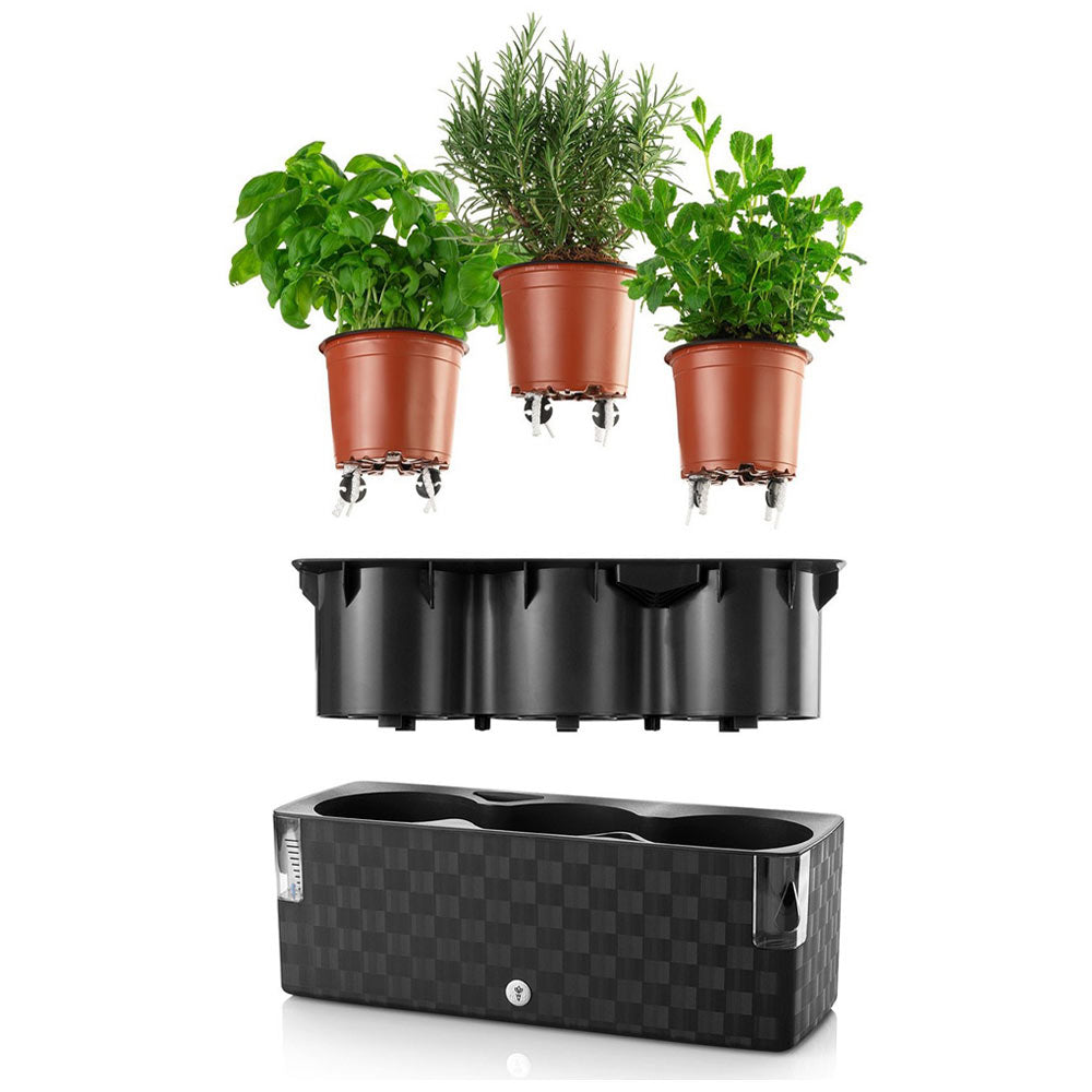 Chefarone Lot de 3 pots à herbes en plastique XL pour rebord de fenêtre -  Auto-arrosage - Pour jardin d'herbes aromatiques - 19 x 18 cm - Blanc